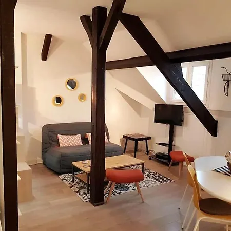 Plein Centre Tres Grand Appartement *