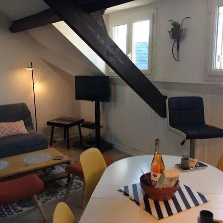 Plein Centre Tres Grand Apartment *