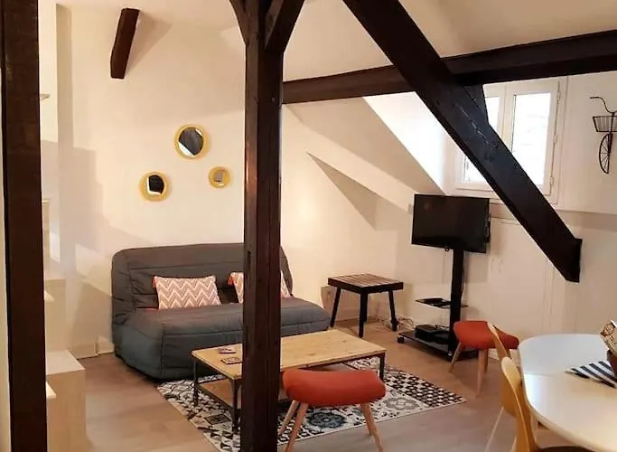 Plein Centre Tres Grand Apartment *