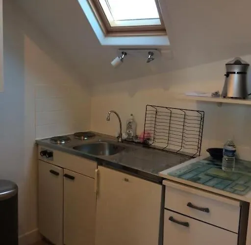 Plein Centre Tres Grand Apartment