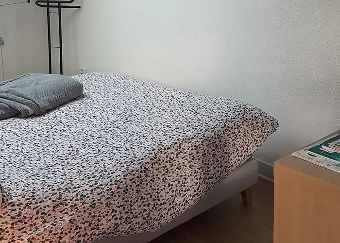 Plein Centre Tres Grand Appartement *